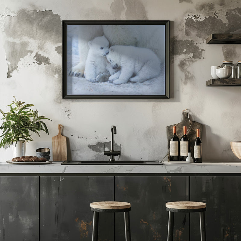 Polar bear cub - Stretched Canvas, Poster or Fine Art Print I Heart Wall Art