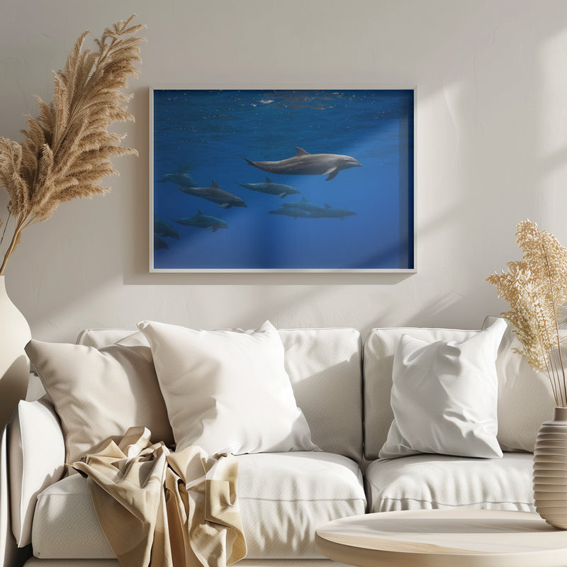 Dolphins - Stretched Canvas, Poster or Fine Art Print I Heart Wall Art