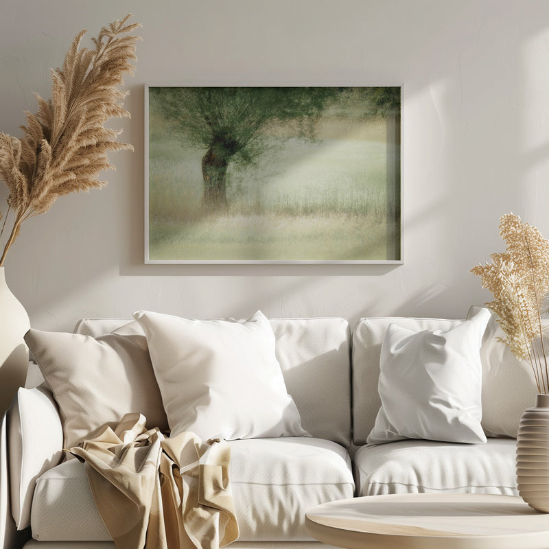 Willow - Stretched Canvas, Poster or Fine Art Print I Heart Wall Art