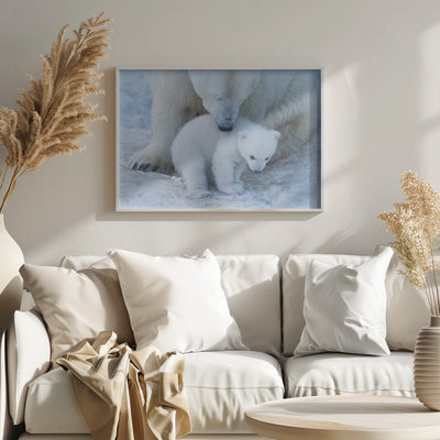 Polar bear portrait - Stretched Canvas, Poster or Fine Art Print I Heart Wall Art