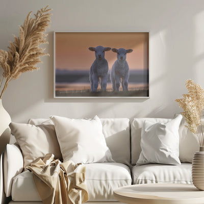 Lamb Twins - Stretched Canvas, Poster or Fine Art Print I Heart Wall Art