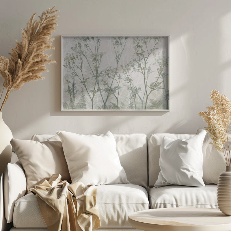 Cow parsley - Stretched Canvas, Poster or Fine Art Print I Heart Wall Art