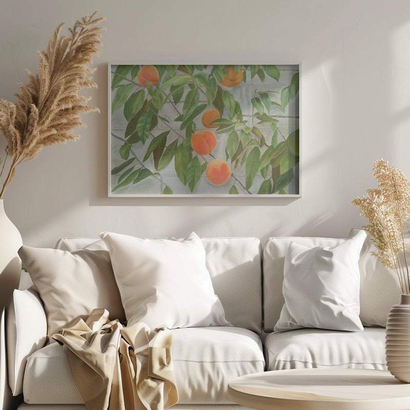 Peaches - Stretched Canvas, Poster or Fine Art Print I Heart Wall Art