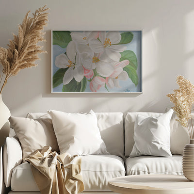 Apple Blossom - Stretched Canvas, Poster or Fine Art Print I Heart Wall Art