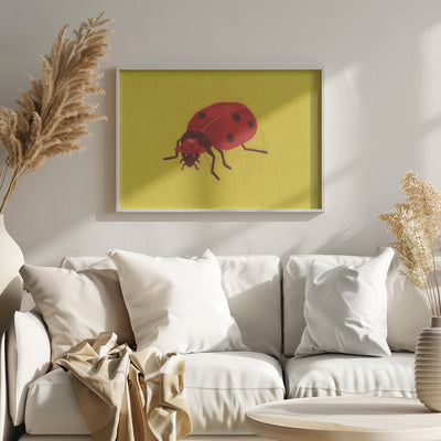 Ladybird - Stretched Canvas, Poster or Fine Art Print I Heart Wall Art