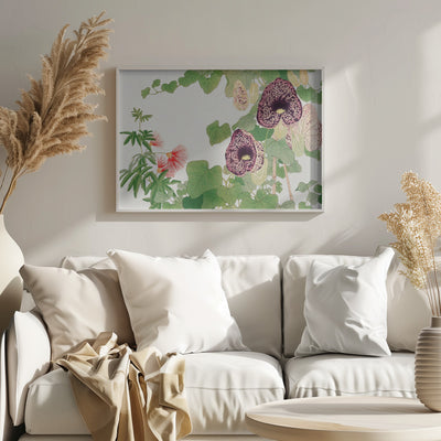 Albizia & Aristolochia Flower No.2 - Stretched Canvas, Poster or Fine Art Print I Heart Wall Art