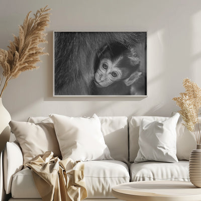 A Mother's Love - Stretched Canvas, Poster or Fine Art Print I Heart Wall Art