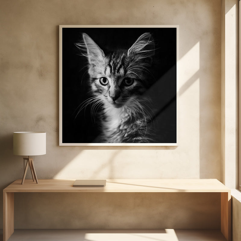 Laban - Square Stretched Canvas, Poster or Fine Art Print I Heart Wall Art