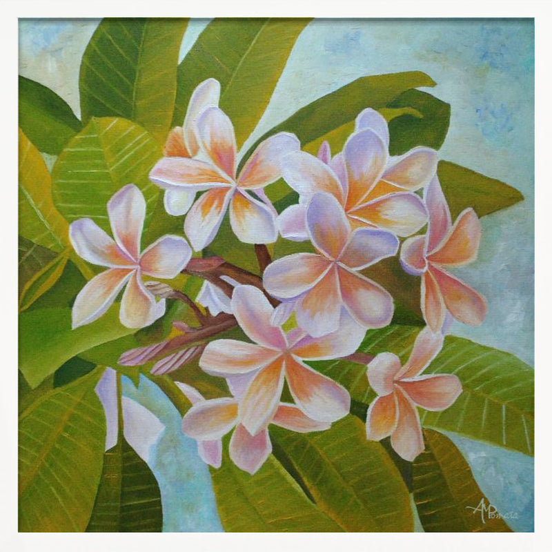 Plumeria - Square Stretched Canvas, Poster or Fine Art Print I Heart Wall Art