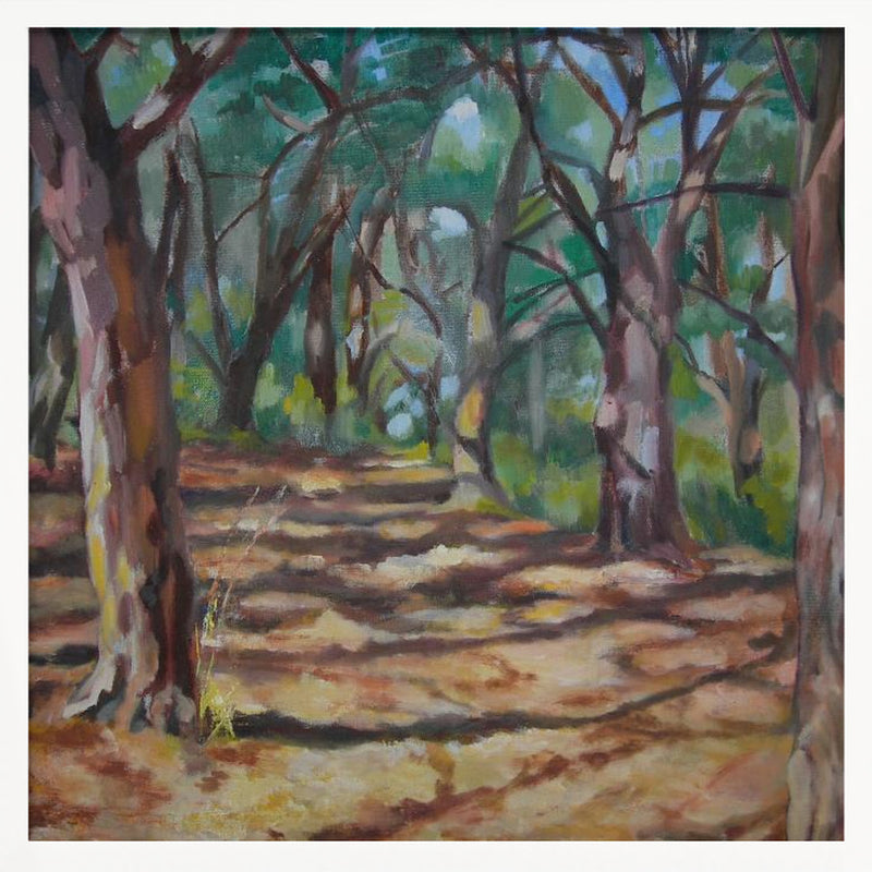 Cape Cod Forest - Square Stretched Canvas, Poster or Fine Art Print I Heart Wall Art