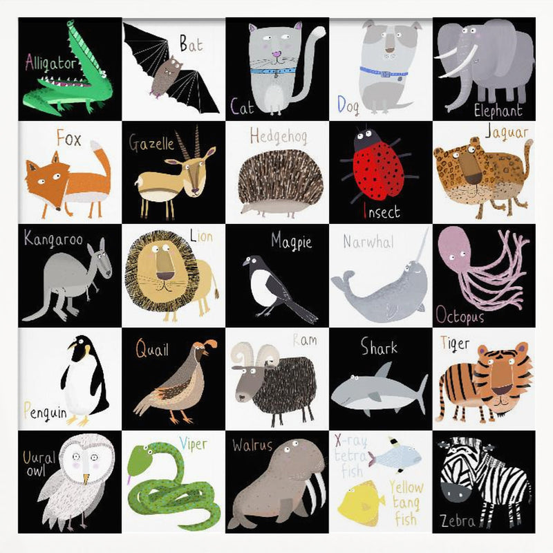 Cute Animal Alphabet with Black White Background by Artist Carla Daly - Square Stretched Canvas, Poster or Fine Art Print I Heart Wall Art