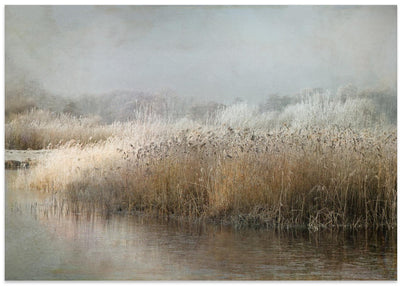 Wintermorning - Stretched Canvas, Poster or Fine Art Print I Heart Wall Art