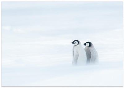 SISTER BOND UNDER THE WORST WEATHER II - Stretched Canvas, Poster or Fine Art Print I Heart Wall Art