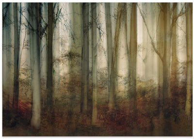 Autumn light - Stretched Canvas, Poster or Fine Art Print I Heart Wall Art