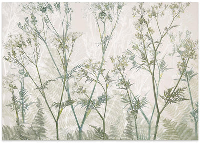 Cow parsley - Stretched Canvas, Poster or Fine Art Print I Heart Wall Art