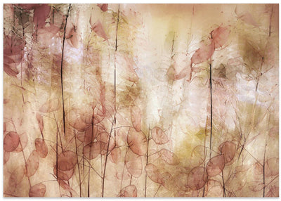 Seed pods - Stretched Canvas, Poster or Fine Art Print I Heart Wall Art