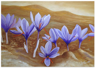 Saffron Flowers - Stretched Canvas, Poster or Fine Art Print I Heart Wall Art