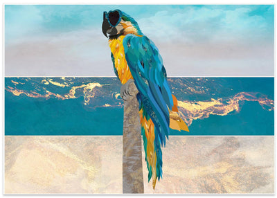 Macaw Seaside Landscape - Stretched Canvas, Poster or Fine Art Print I Heart Wall Art