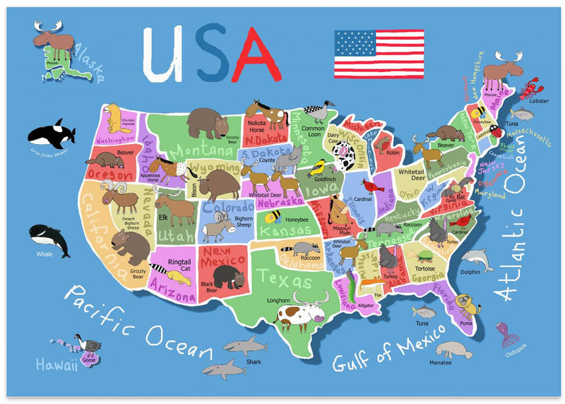 Illustrated Map of United States of America by Carla Daly - Stretched Canvas, Poster or Fine Art Print I Heart Wall Art