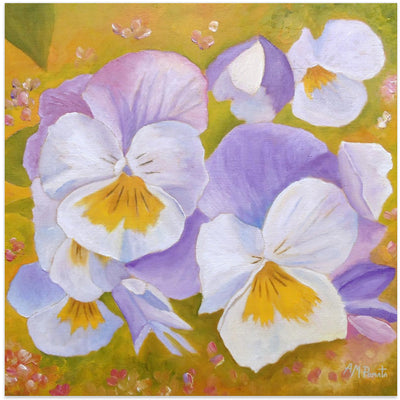 Pansies - Square Stretched Canvas, Poster or Fine Art Print I Heart Wall Art