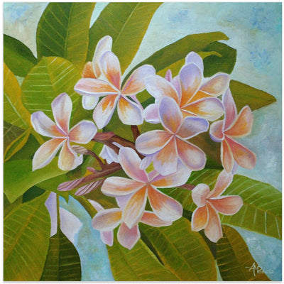 Plumeria - Square Stretched Canvas, Poster or Fine Art Print I Heart Wall Art