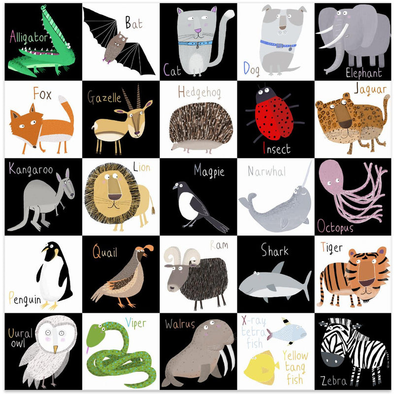 Cute Animal Alphabet with Black White Background by Artist Carla Daly - Square Stretched Canvas, Poster or Fine Art Print I Heart Wall Art