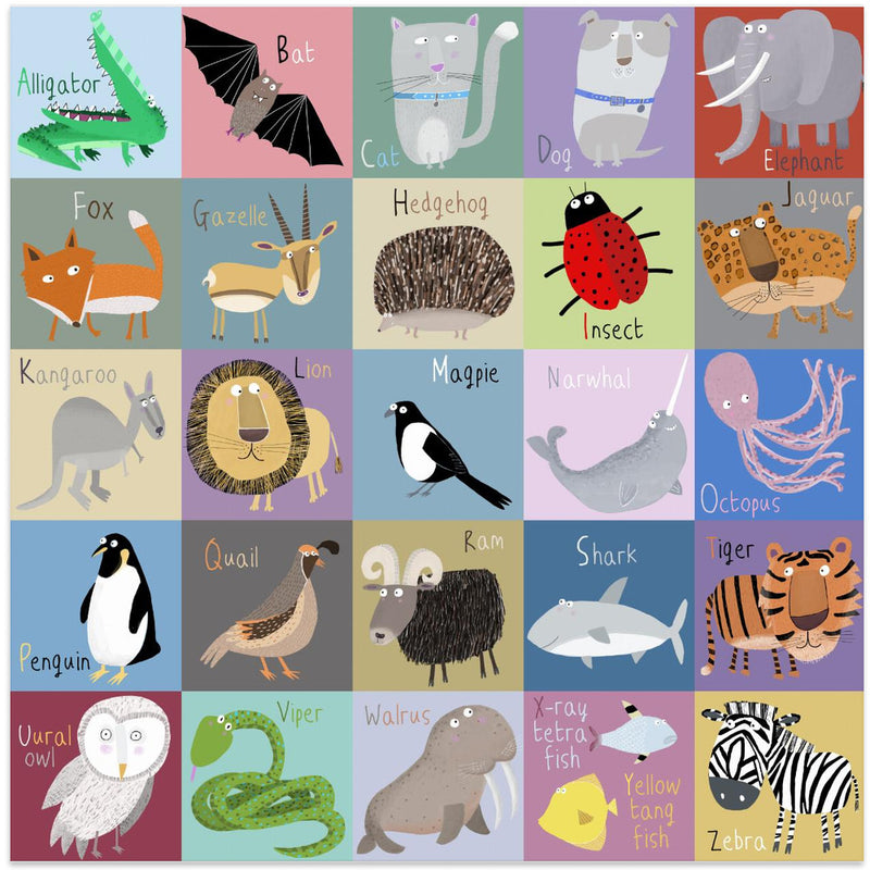 Colorful Chequered Animal Alphabet by Artist Carla Daly - Square Stretched Canvas, Poster or Fine Art Print I Heart Wall Art