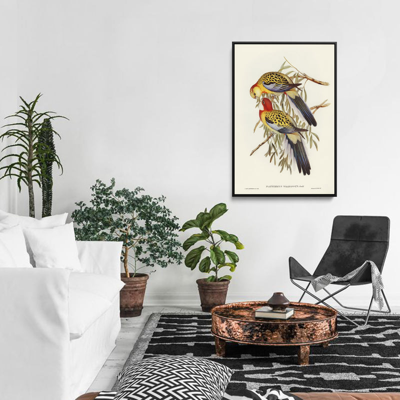 Splendid Parakeet (Platycercus splendidus) illustrated by Elizabeth Gould (1804–1841) - Stretched Canvas Print or Framed Fine Art Print - Artwork I Heart Wall Art Australia 