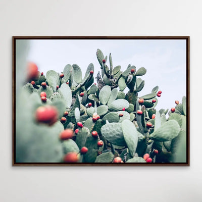 Cactus Landscape - Pink and Red Photographic Print of Cactus Against The Sky I Heart Wall Art Australia 