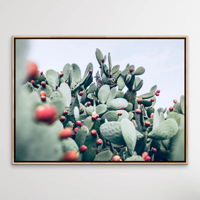 Cactus Landscape - Pink and Red Photographic Print of Cactus Against The Sky I Heart Wall Art Australia 