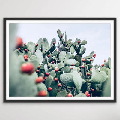 Cactus Landscape - Pink and Red Photographic Print of Cactus Against The Sky I Heart Wall Art Australia 