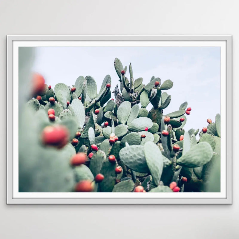 Cactus Landscape - Pink and Red Photographic Print of Cactus Against The Sky I Heart Wall Art Australia 