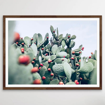 Cactus Landscape - Pink and Red Photographic Print of Cactus Against The Sky I Heart Wall Art Australia 