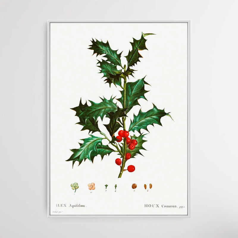 Common Holly by Pierre-Joseph Redouté - I Heart Wall Art