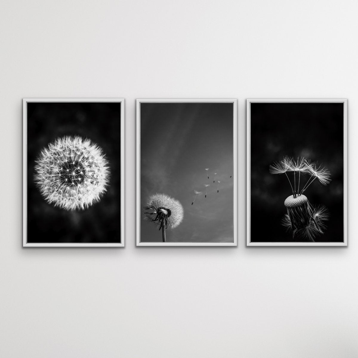 This classic dandelion print set issimple, classic and elegant. Perfect for  contempora best from I Heart Wall Art Australia I Heart Wall Art Australia