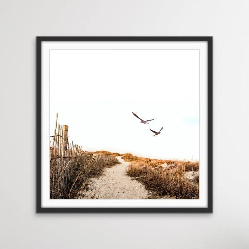 Gull Coast - Square Photographic Print With Golden Tones - I Heart Wall Art