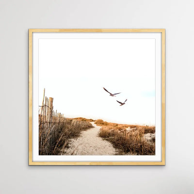 Gull Coast - Square Photographic Print With Golden Tones - I Heart Wall Art