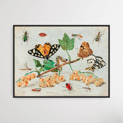 Insects and Fruits (1660–1665) by Jan van Kessel - I Heart Wall Art