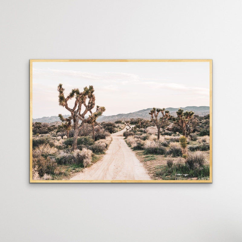 Joshua Tree - Desert Photographic Print With Cactus - I Heart Wall Art