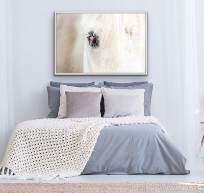 Starstruck- Photographic Pony Art Print On Canvas Wall Art Horse Close Up I Heart Wall Art Australia 