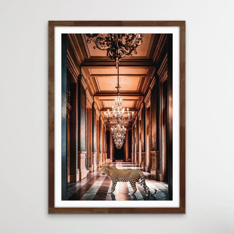 The Palace Leopard - Leopard Loose In Luxury Palace Photographic Print I Heart Wall Art Australia 