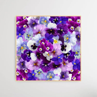 Viola the Violet Flower - Abstract Square Canvas Flower Print I Heart Wall Art Australia 