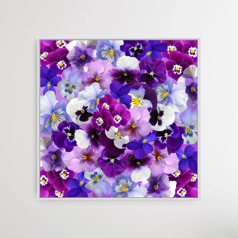 Viola the Violet Flower - Abstract Square Canvas Flower Print I Heart Wall Art Australia 
