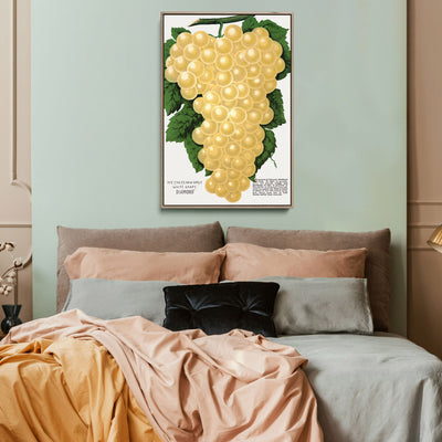 Diamond White Grape by Rochester Lithographing and Printing Company - Stretched Canvas Print or Framed Fine Art Print - Artwork I Heart Wall Art Australia 